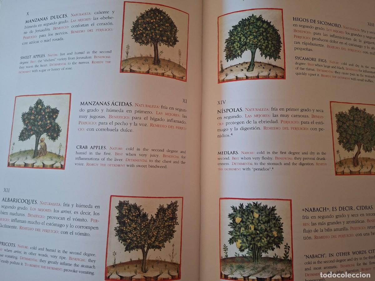 Libros de segunda mano: Theatrum sanitatis. Moleiro - Foto 9