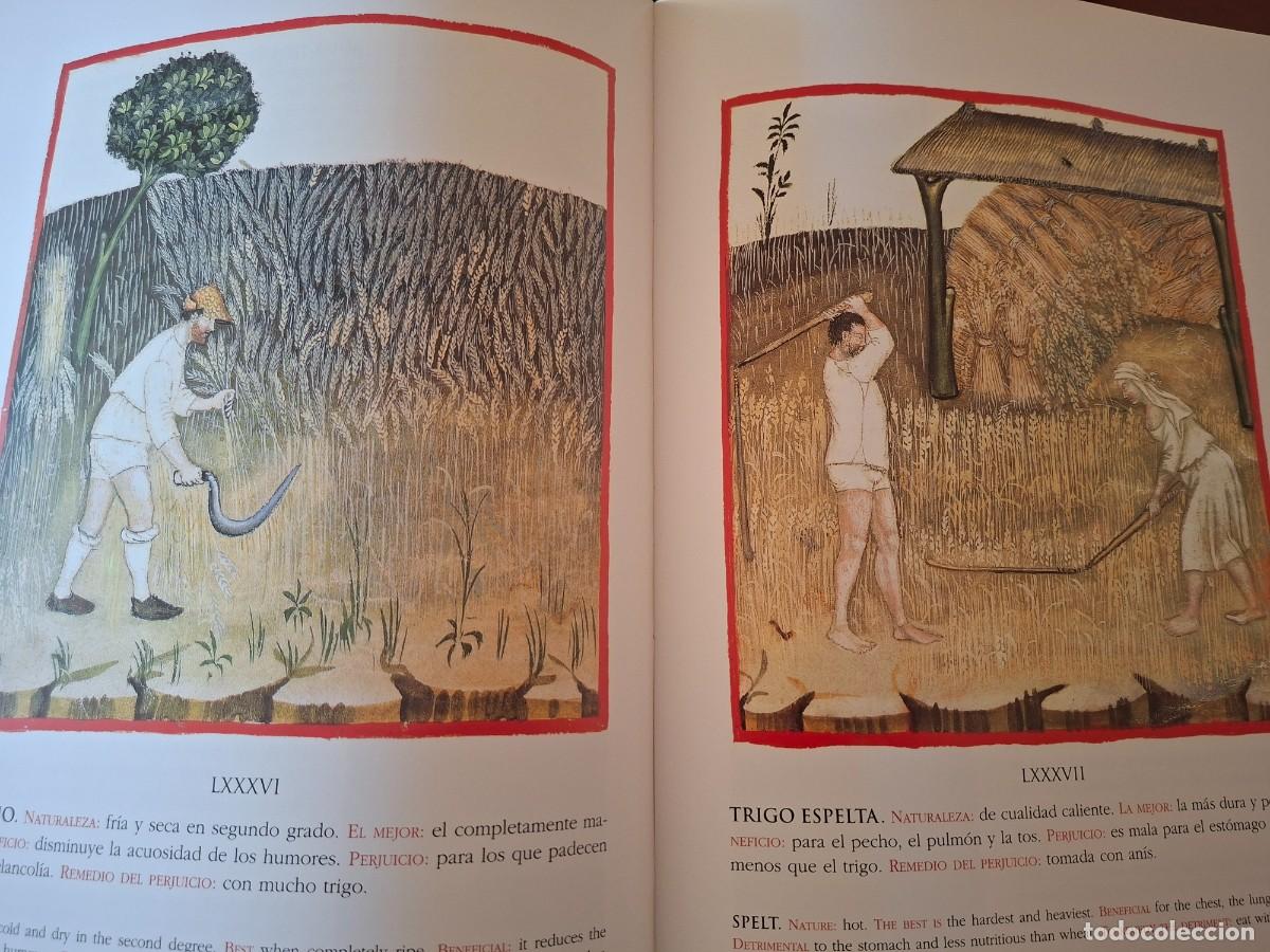 Libros de segunda mano: Theatrum sanitatis. Moleiro - Foto 10