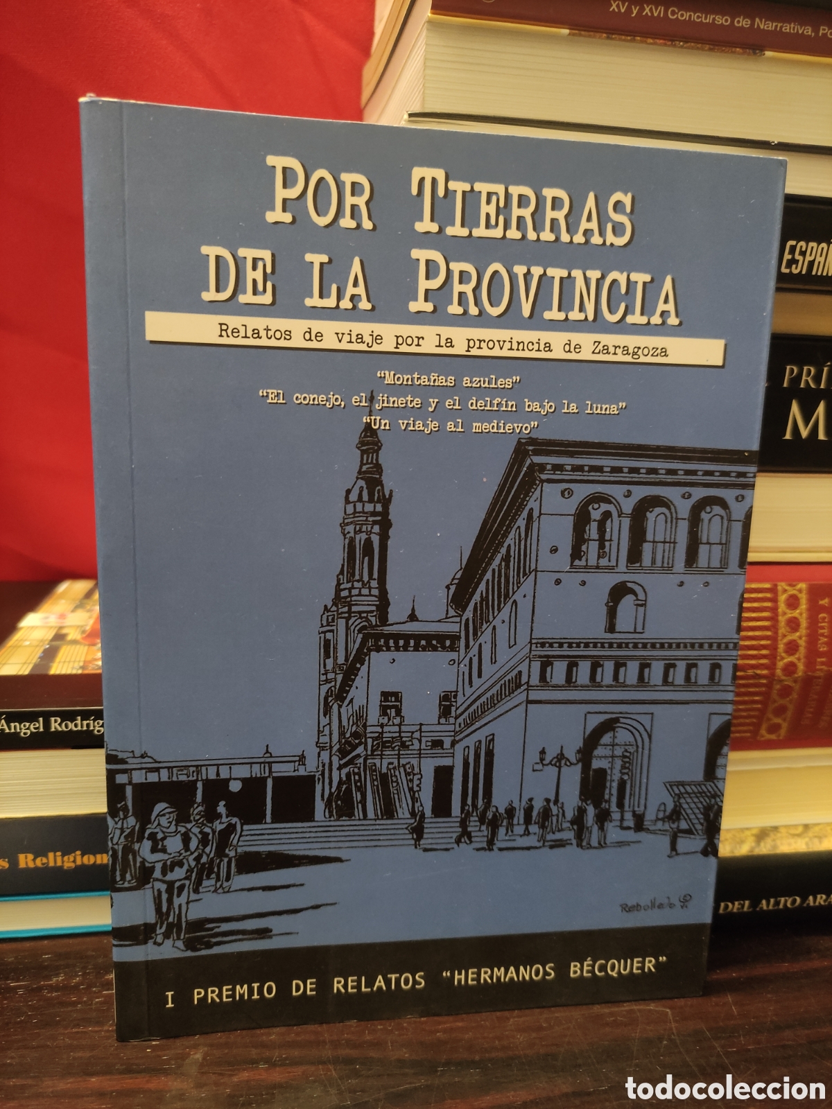 Libros de segunda mano: POR TIERRAS DE LA PROVINCIA - Relatos de viaje por la provincia de Zaragoza