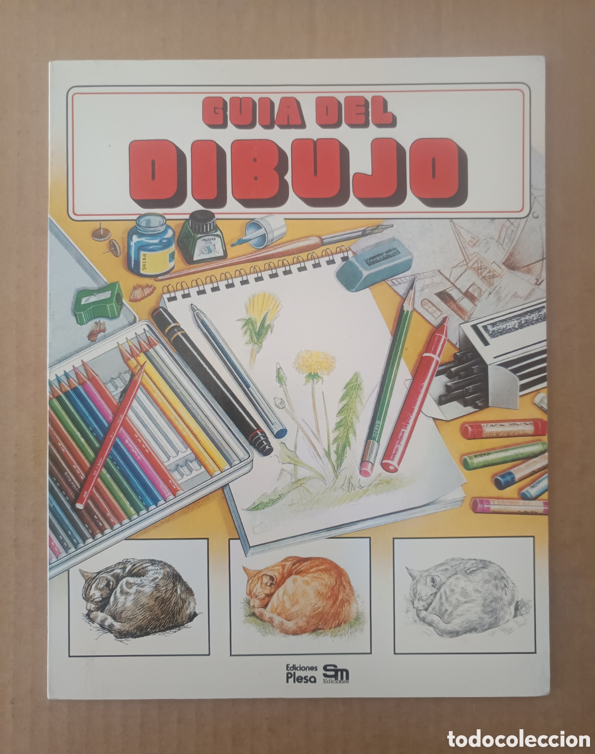Libros de segunda mano: Gu&iacute;a del Dibujo, por Patience Foster (Plesa/SM, 1984). Ver contenidos.