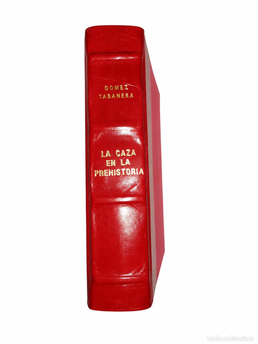 Gebrauchte B&uuml;cher: La caza en la prehistoria. Asturias, Cantabria, Euskal-Herria - Jos&eacute; M. G&oacute;mez-Tabanera - LM