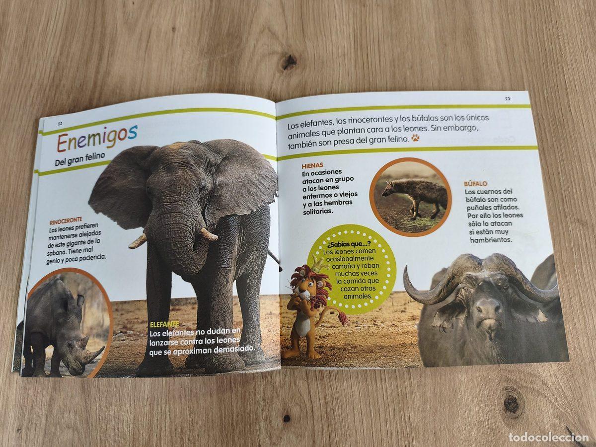Libros de segunda mano: El le&oacute;n Mis animales favoritos El Pa&iacute;s - Foto 5