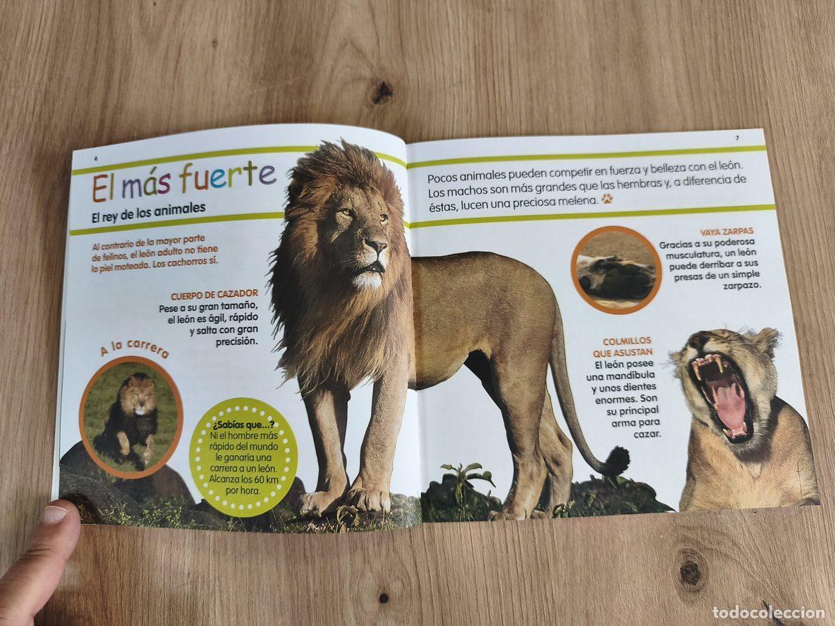 Libros de segunda mano: El le&oacute;n Mis animales favoritos El Pa&iacute;s - Foto 6