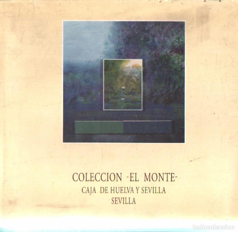 Libros de segunda mano: COLECCI&Oacute;N - EL MONTE - CAJA DE HUELVA Y SEVILLA. A-ART-5157