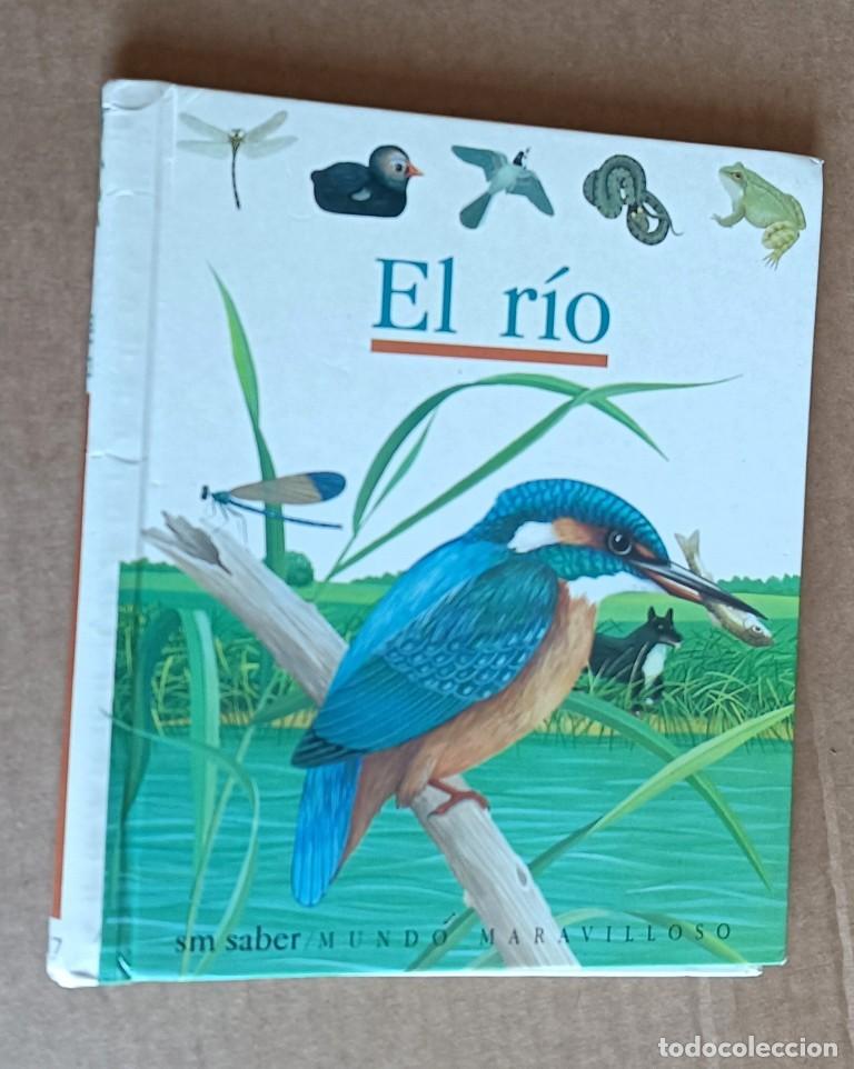 Libros de segunda mano: EL RIO - Ilustrada Laura Bour - S/M saber mundo maravilloso 1992