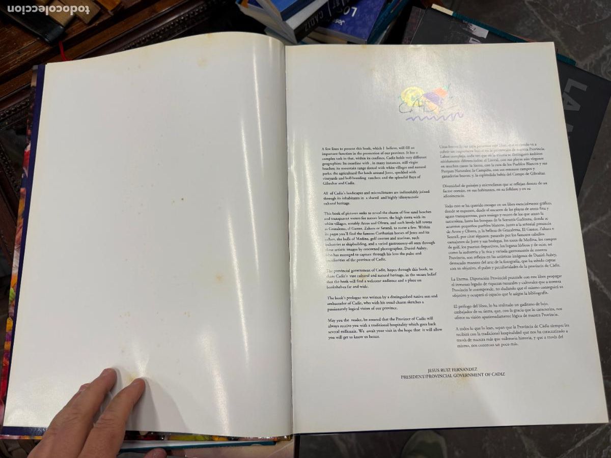Libros de segunda mano: LIBRO CADIZ - FOTOGRAFIAS DANIEL AUBRY - Foto 4