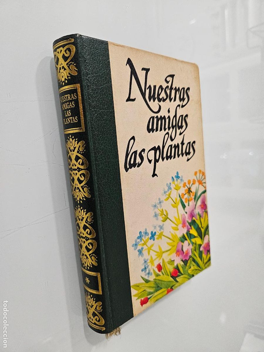 Libros de segunda mano: Nuestras amigas las plantas 1 | Daniele Manta | Editorial C&iacute;rculo de amigos de la historia, 1977