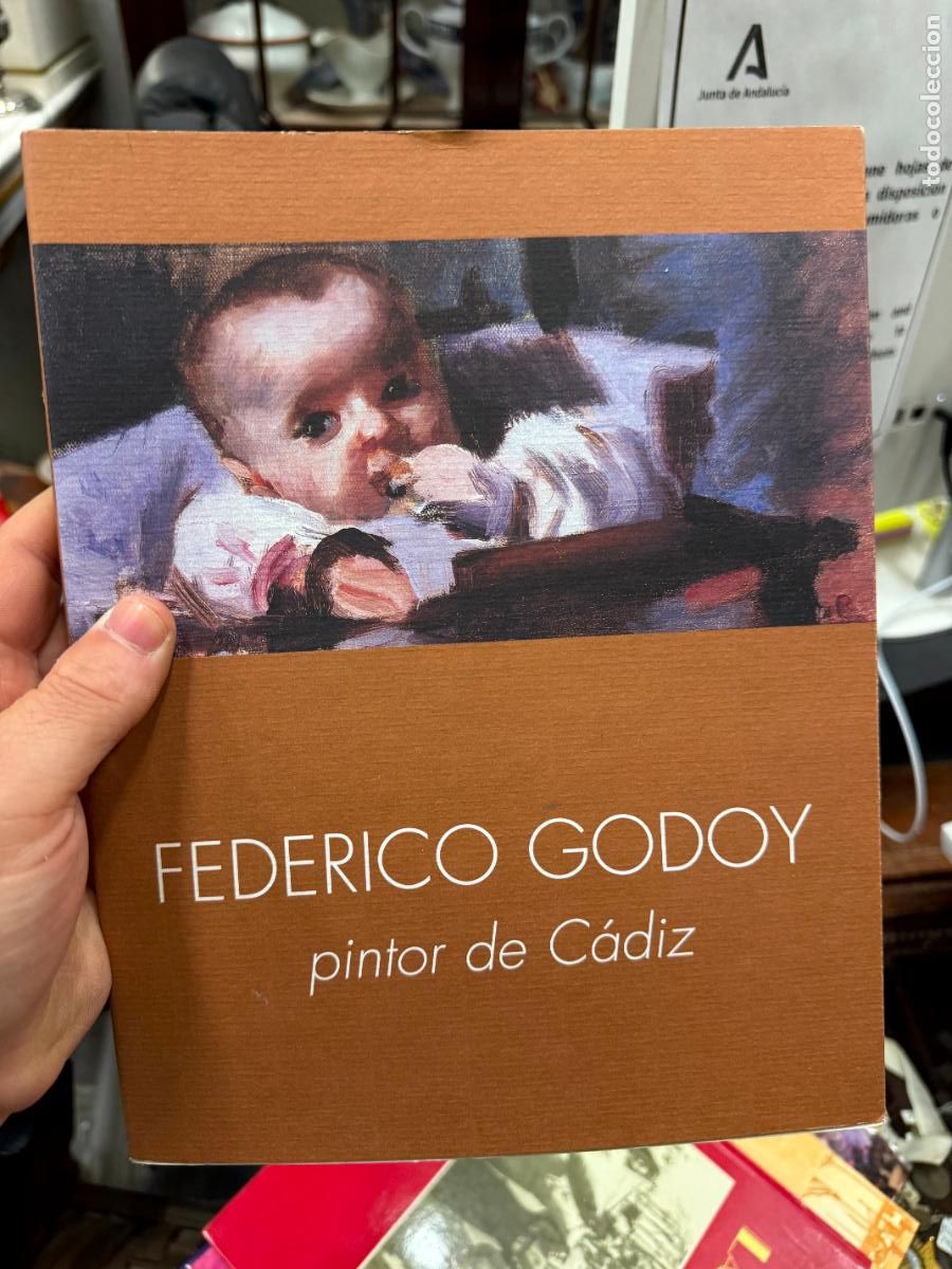 Libros de segunda mano: LIBRO FEDERICO GODOY PINTOR DE CADIZ -