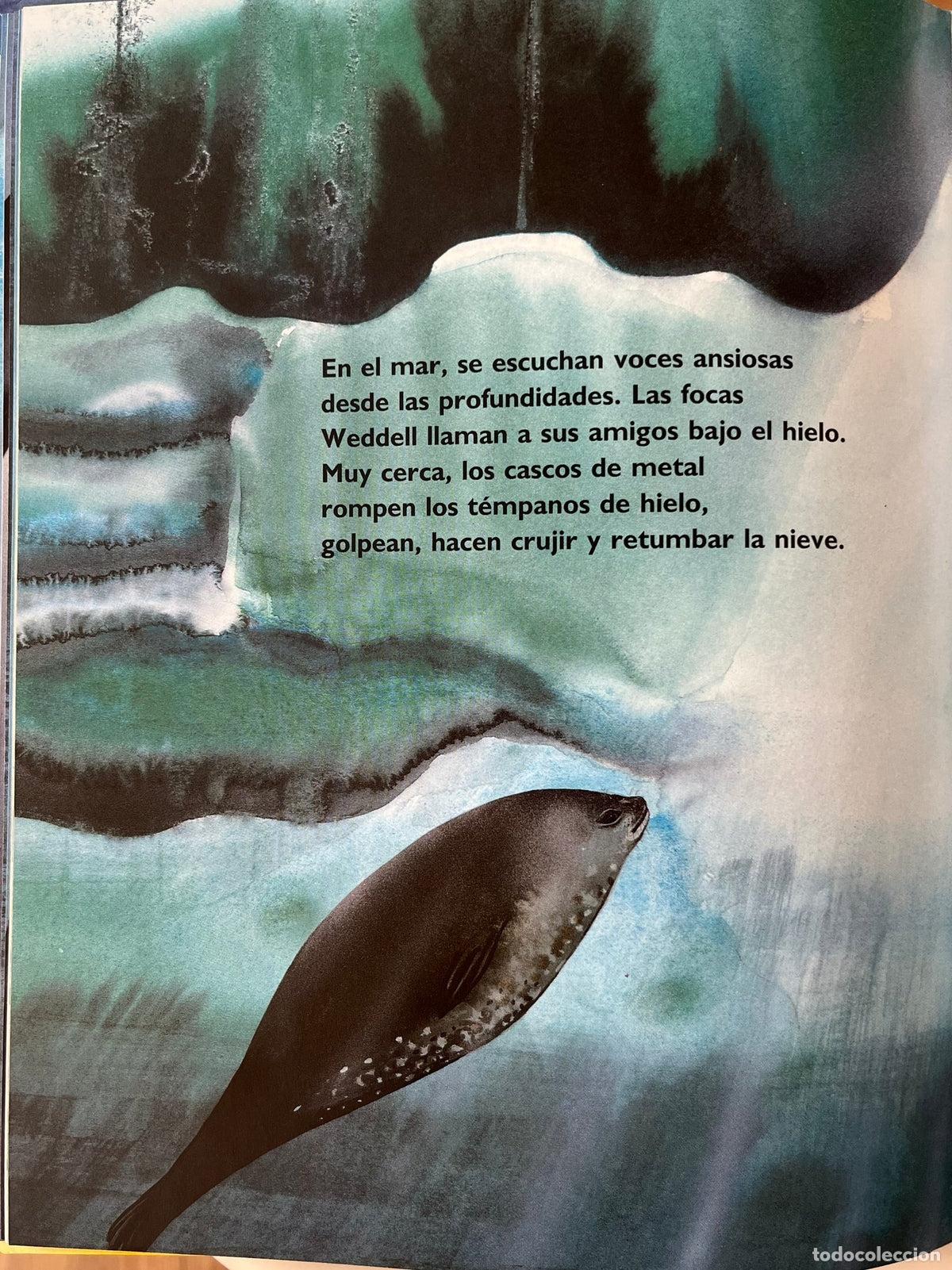 Libros de segunda mano: La Ant&aacute;rtida - Helen Cowcher - Foto 2