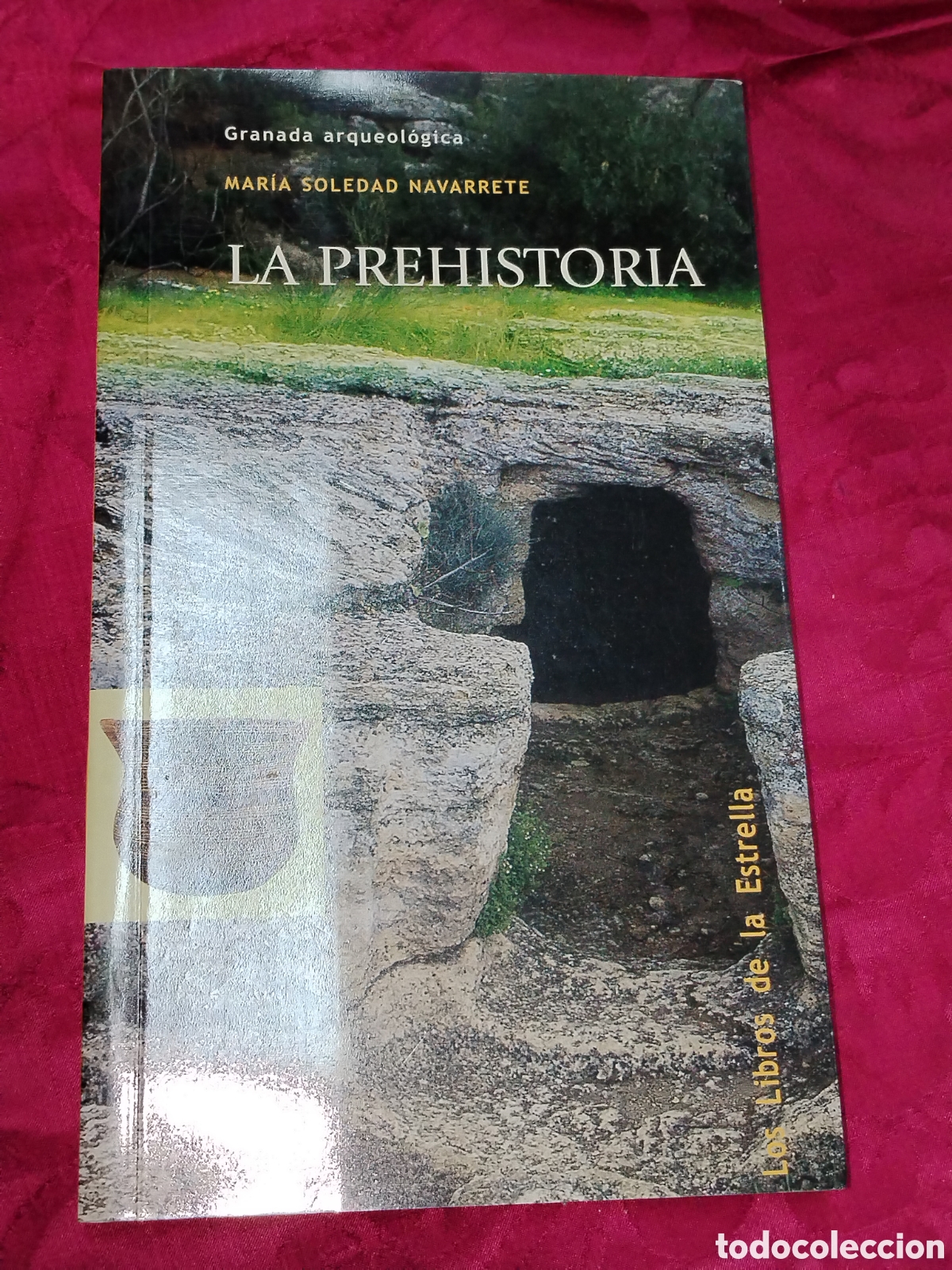 Libros de segunda mano: La prehistoria. Mar&iacute;a Soledad Navarrete