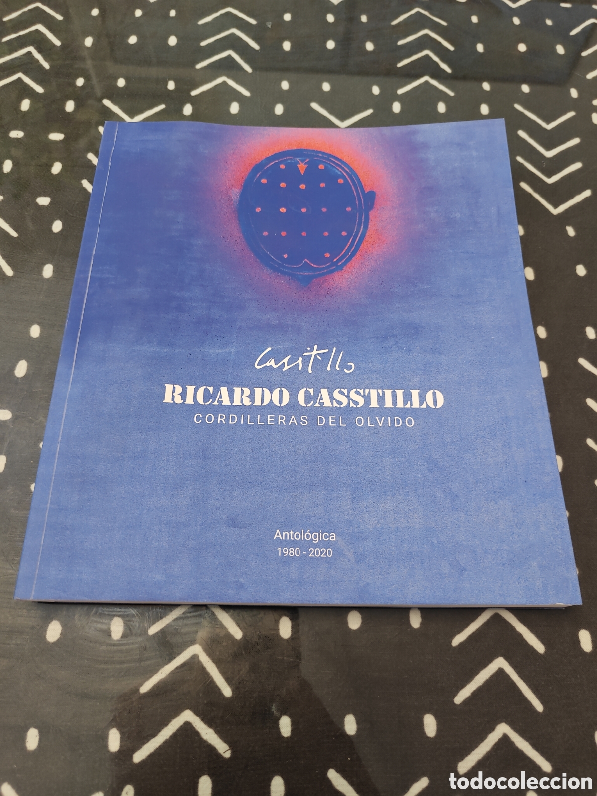 Libros de segunda mano: RICARDO CASSTILLO &ndash; CORDILLERAS DEL OLVIDO 1980&ndash;2020 &ndash; CAT&Aacute;LOGO EXPOSICI&Oacute;N SEVILLA 2024