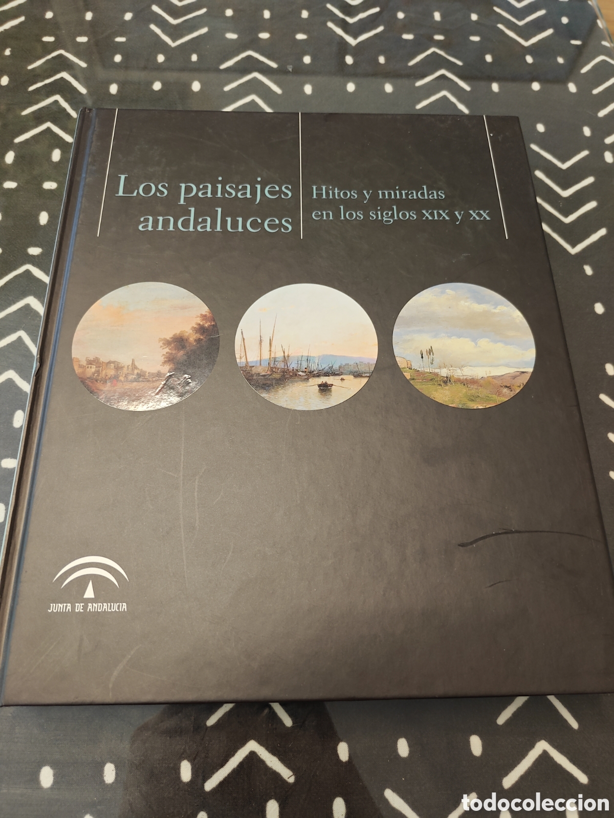 Libros de segunda mano: LOS PAISAJES ANDALUCES &ndash; HITOS Y MIRADAS SIGLOS XIX Y XX &ndash; JUNTA ANDALUC&Iacute;A 2007 &ndash; ARTE Y FOTOGRAF&Iacute;A
