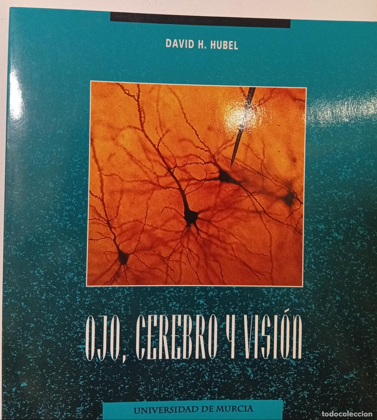 Libros de segunda mano: Ojo, cerebro y visi&oacute;n - Foto 1