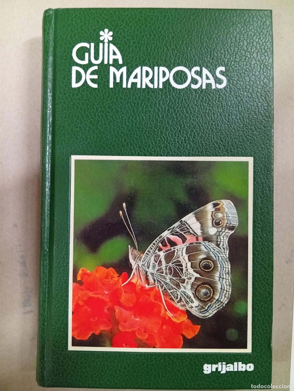 Libros de segunda mano: Gu&iacute;a de Mariposas - Mauro Daccordi, Paolo Triberti, Adriano Zanetti