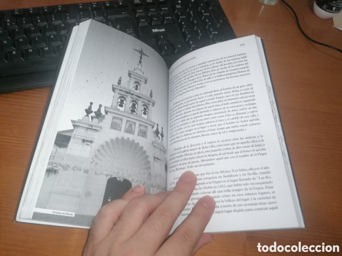 Libros de segunda mano: Libro: GU&Iacute;A SECRETA DE SEVILLA. ESOTERISMO EN LA CATEDRAL - Foto 6