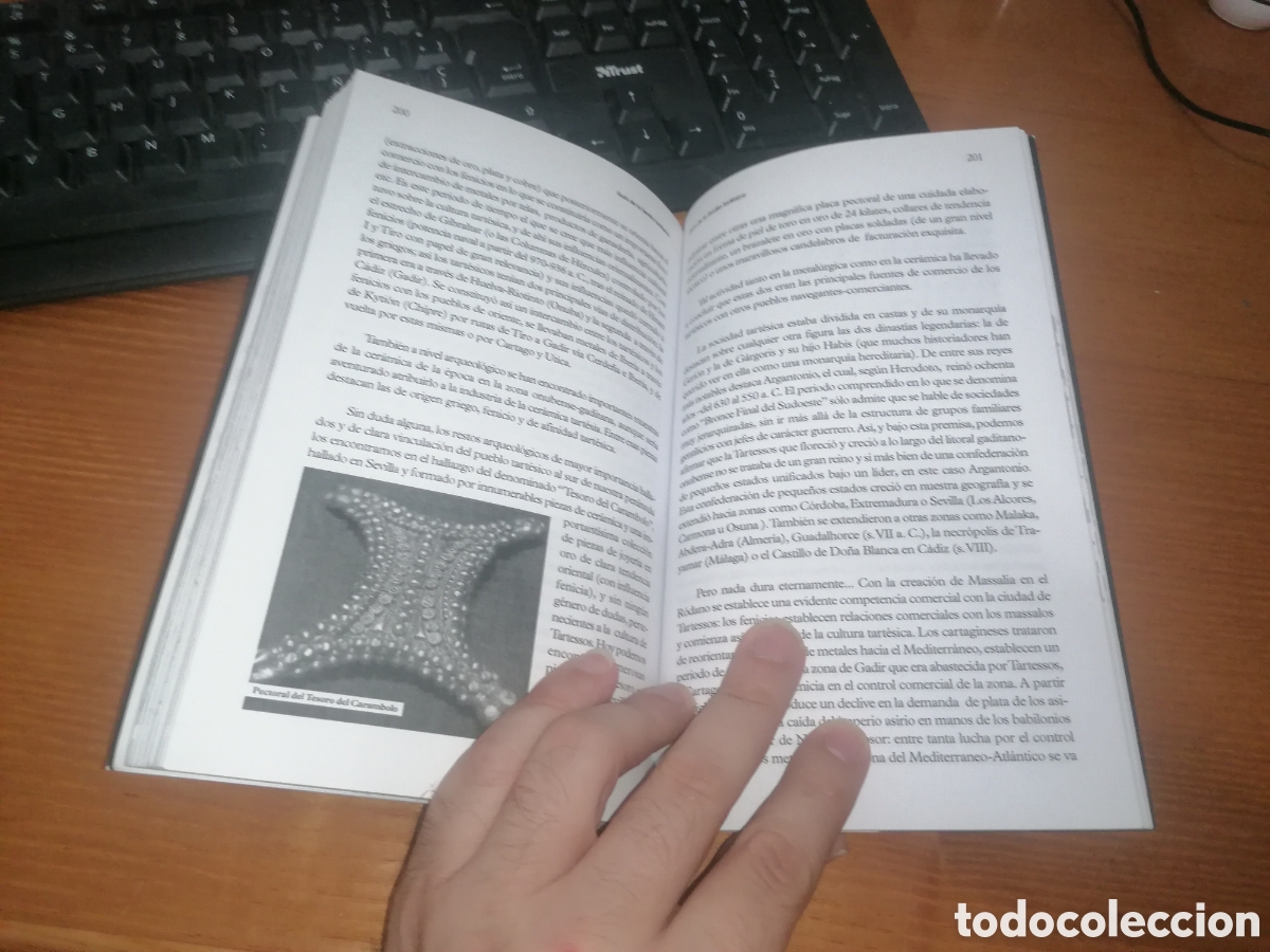 Libros de segunda mano: Libro: GU&Iacute;A SECRETA DE SEVILLA. ESOTERISMO EN LA CATEDRAL - Foto 7