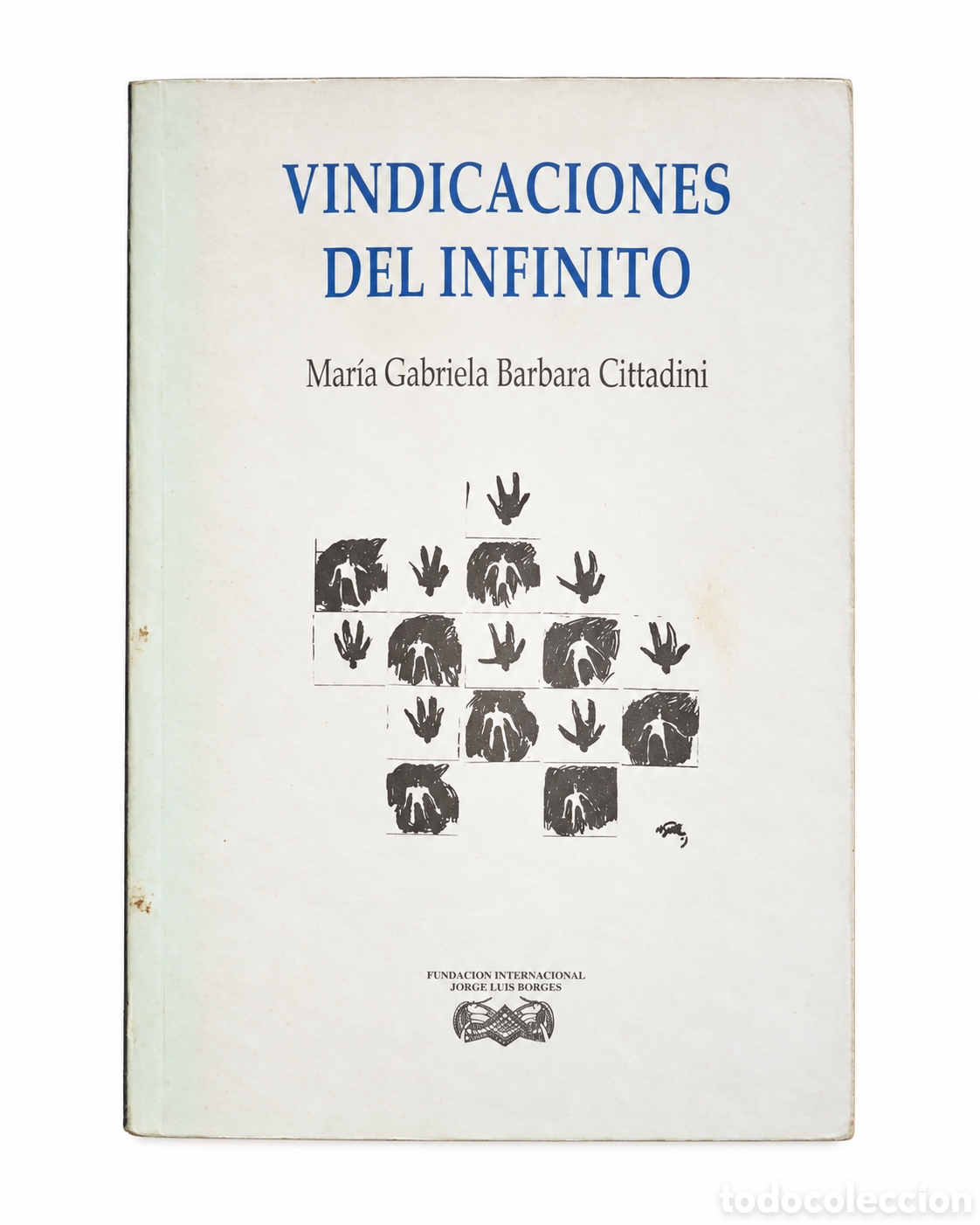 Libros de segunda mano: Mar&iacute;a Gabriela Barbara Cittadini &ndash; Vindicaciones del infinito &ndash; LML