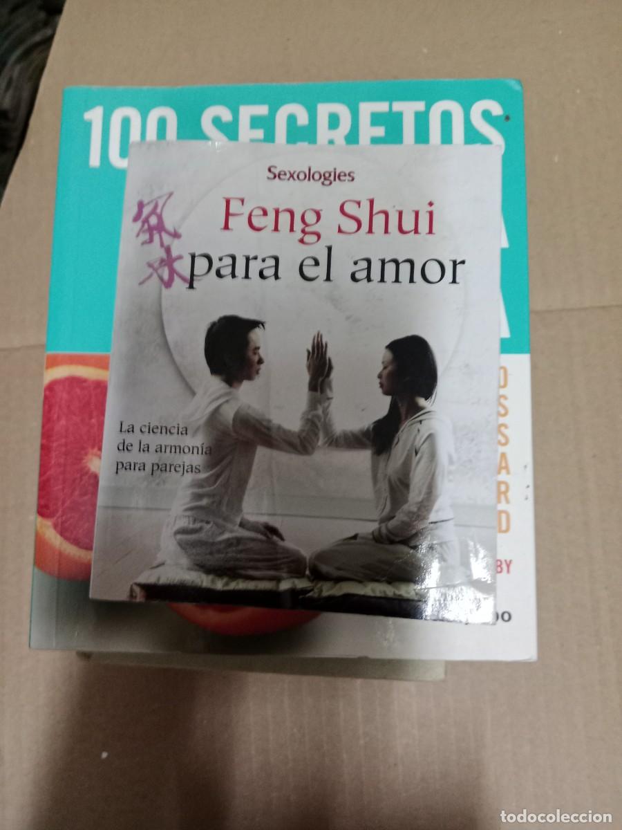 Libros de segunda mano: FENG SHUI PARA EL AMOR SARAH BARLTLETT LIBRO E-SAN - Foto 1
