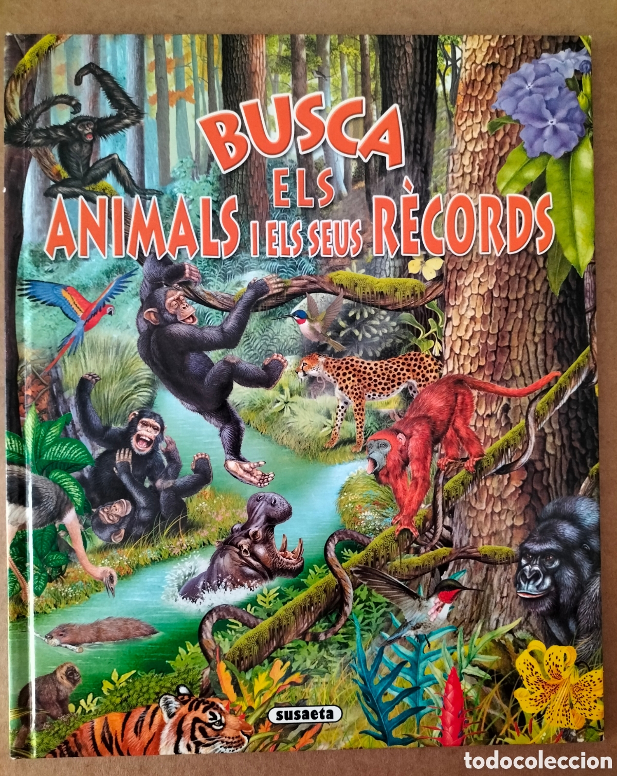 Libros de segunda mano: Busca els animals i els seus r&egrave;cords. Francisco Arredondo. Susaeta ediciones. Llibre