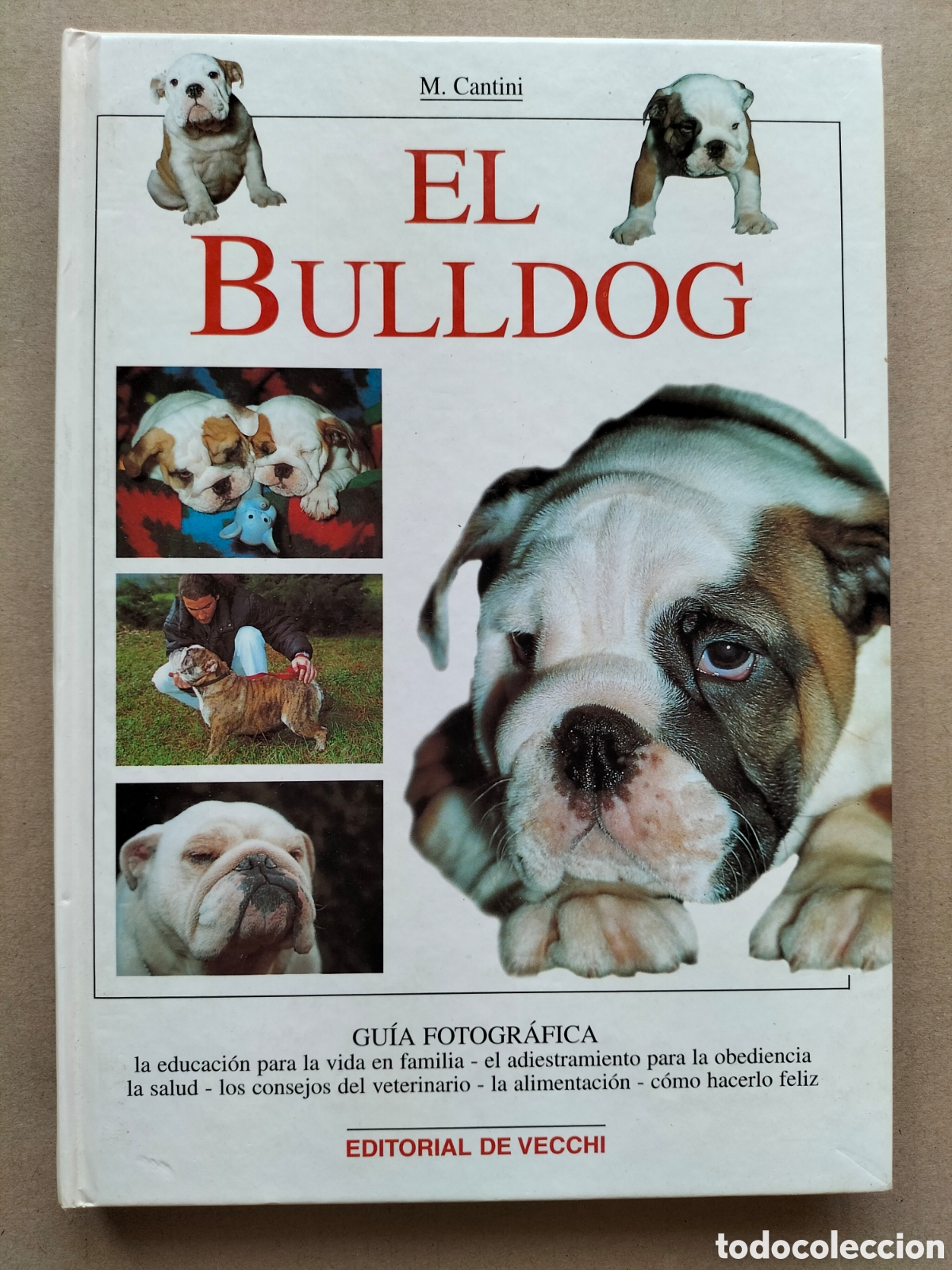 Libros de segunda mano: El Bulldog. Gu&iacute;a fotogr&aacute;fica. Micaela Cantini. Editorial de Vecchi, 2001. Libro