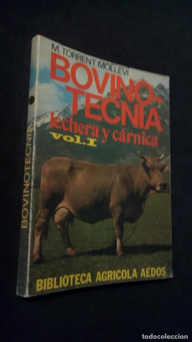 Libros de segunda mano: BOVINO-TECNIA LECHERA Y C&Aacute;RNICA -VOL I-BIBLIOTECA AGR&Iacute;COLA AEDOS-MATEO TORRENT MOLLEV&Iacute;