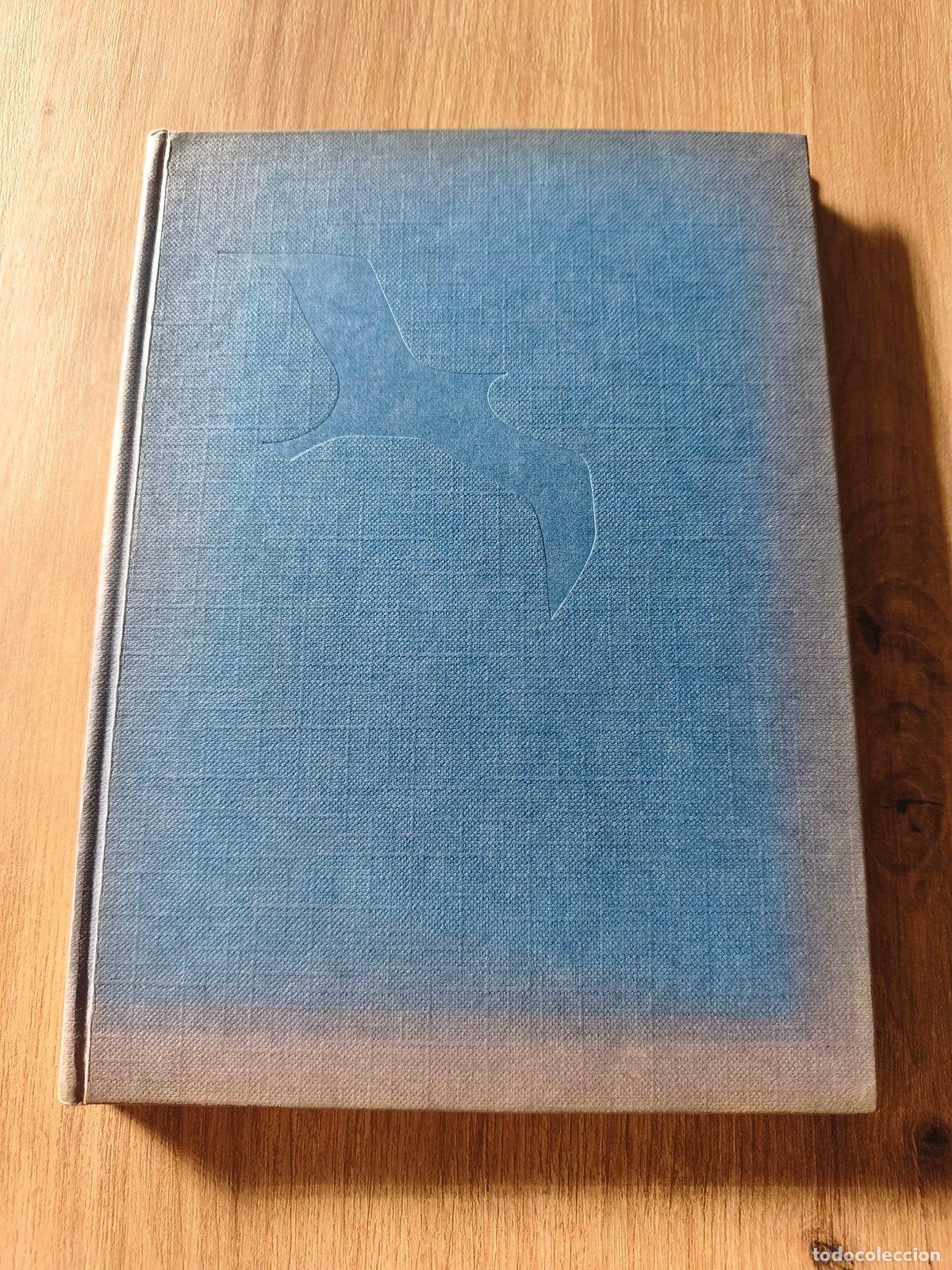 Libros de segunda mano: Juan Salvador Gaviota Richard Bach