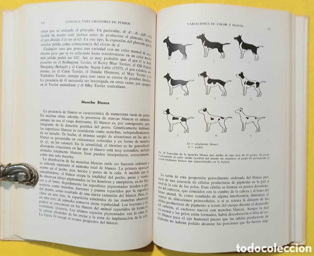 Libros de segunda mano: Gen&eacute;tica para criadores de perros - Foto 4