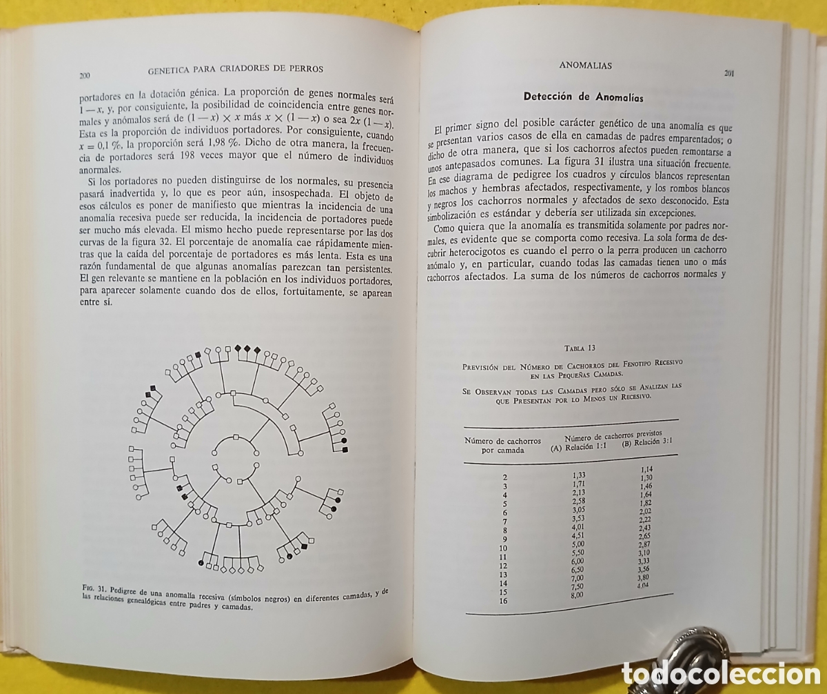 Libros de segunda mano: Gen&eacute;tica para criadores de perros - Foto 5