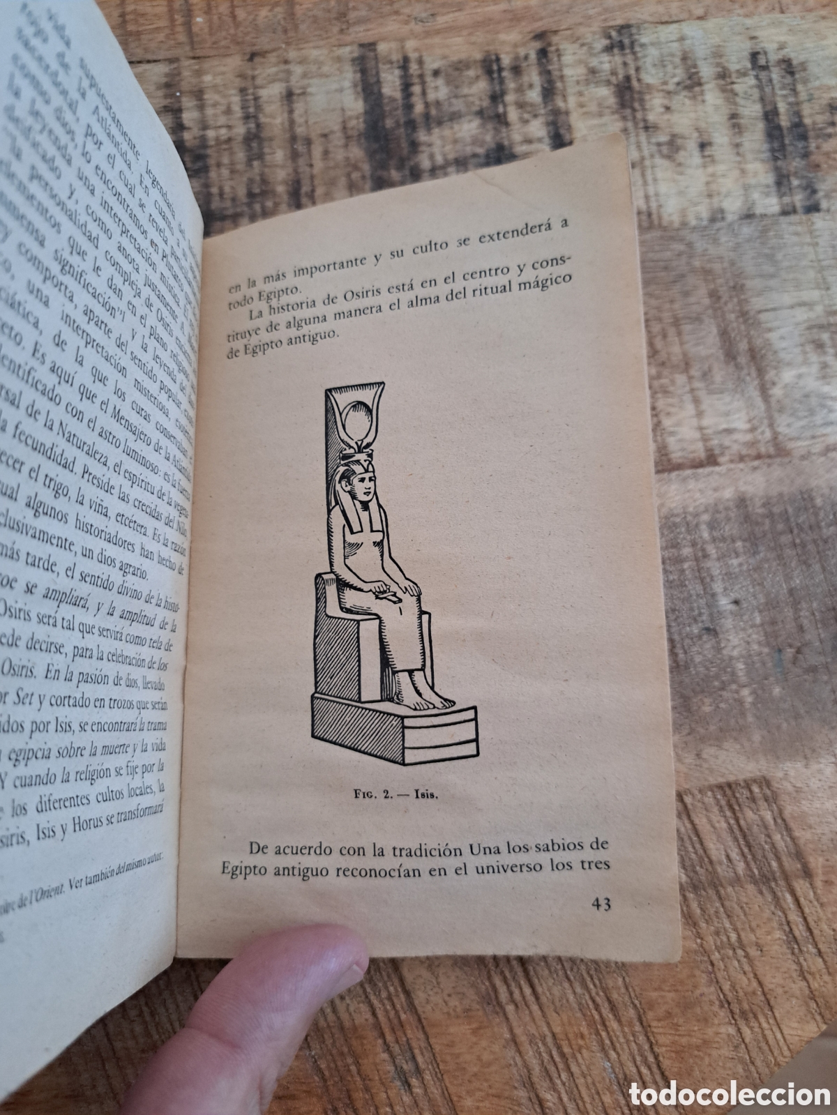 Libros de segunda mano: Jml La magia. A.T.E. 1977. Sardanyola. Barcelona. - Foto 13
