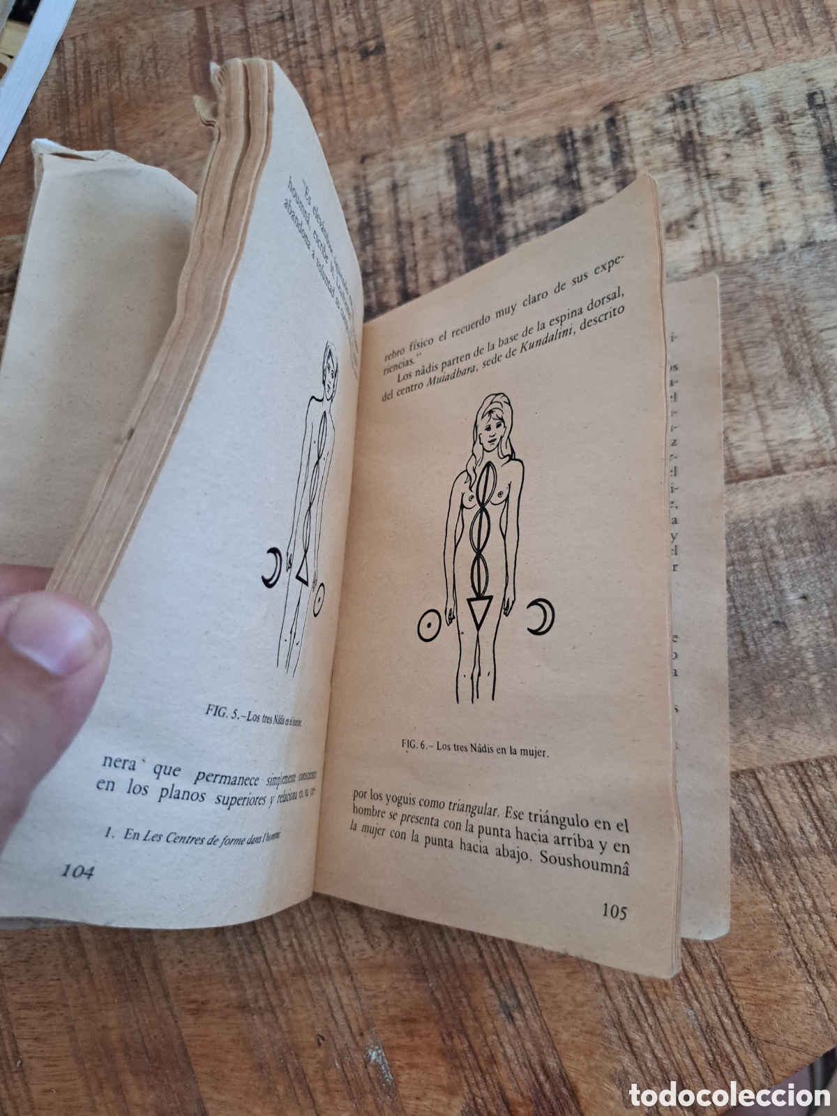 Libros de segunda mano: Jml La magia. A.T.E. 1977. Sardanyola. Barcelona. - Foto 9