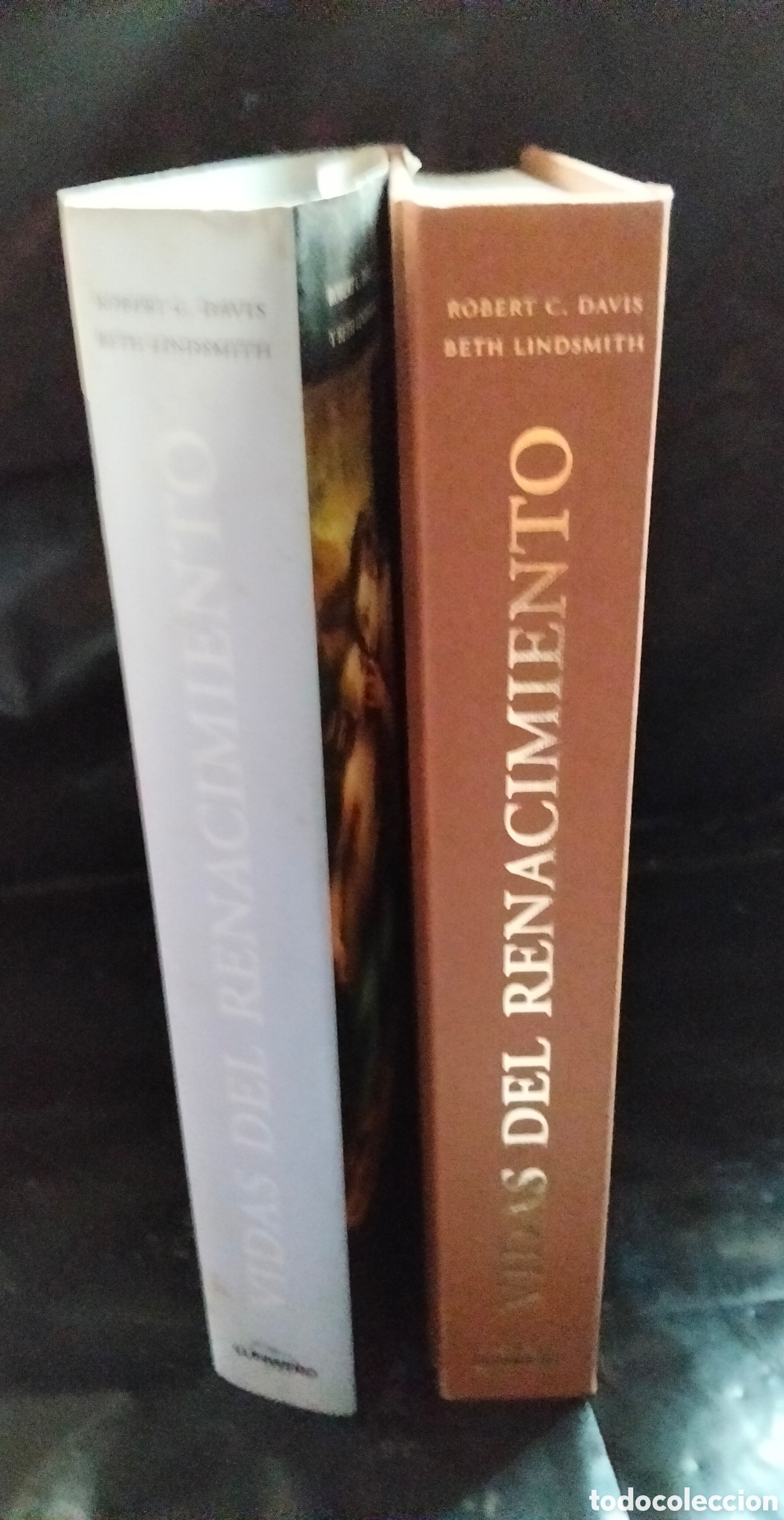 Libros de segunda mano: R. C. DAVIS/B. LINDSMITH. VIDAS DEL RENACIMIENTO .LUNWERG - Foto 20