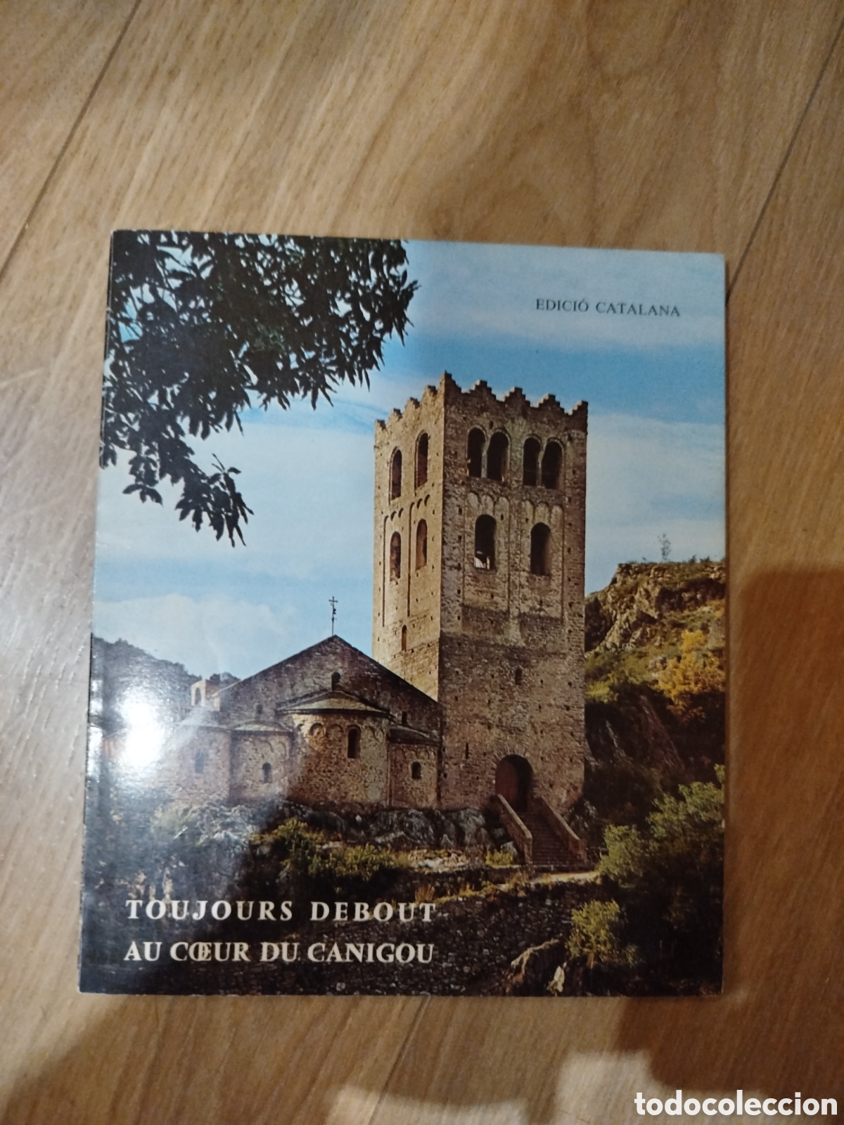 Gebrauchte B&uuml;cher: Llibret sant Mart&iacute; del Canig&oacute;