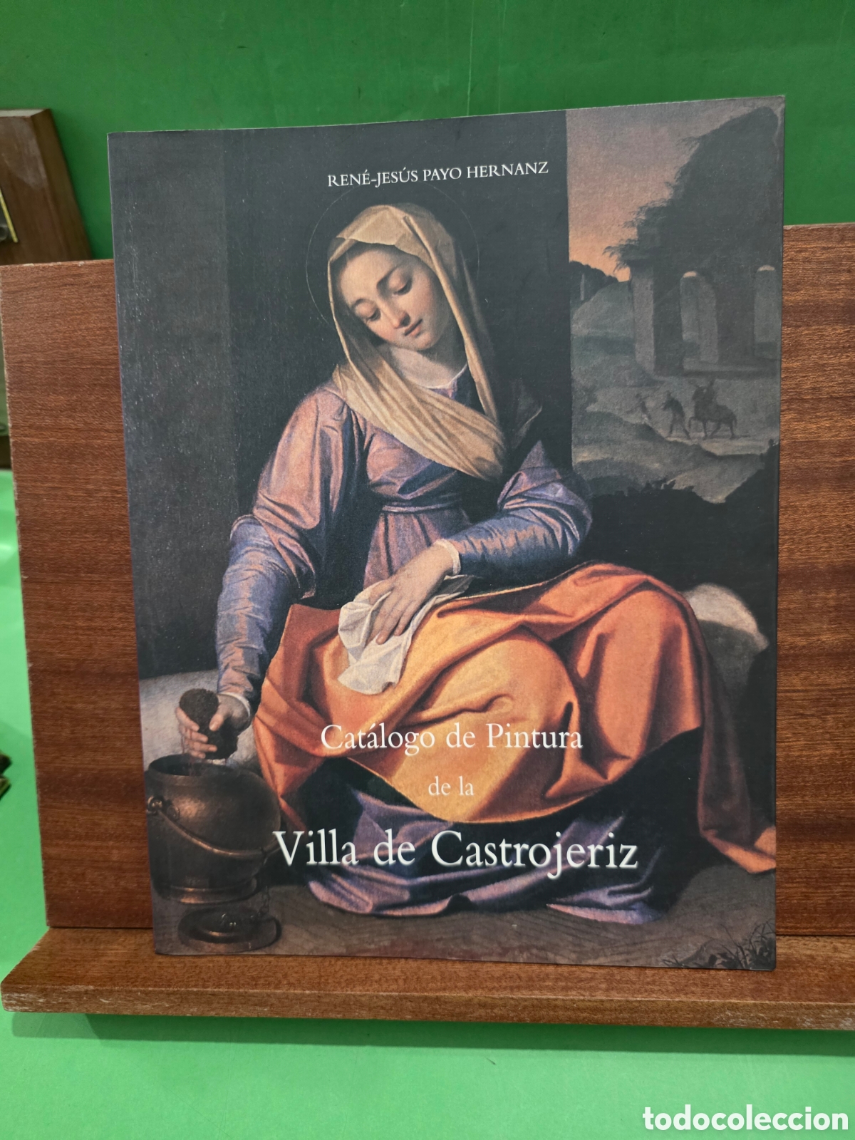 Libros de segunda mano: &rdquo;&rdquo;CAT&Aacute;LOGO DE PINTURA DE LA VILLA DE CASTROJERIZ&rdquo;&rdquo;...( BURGOS)...REN&Egrave;-JES&Uacute;S PAYO HERNAEZ...1999...