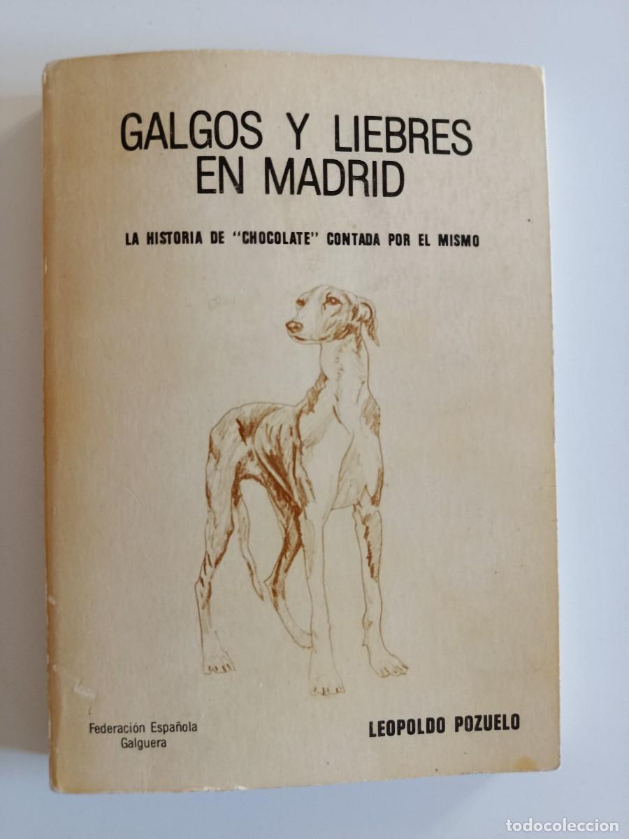 Gebrauchte B&uuml;cher: GALGOS Y LIEBRES EN MADRID. LA HISOTIA DE CHOCOLATE CONTADA POR &Eacute;L MISMO. LEOPOLDO POZUELO. 1980