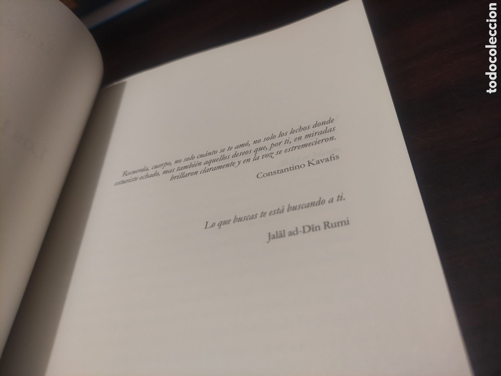 Libros de segunda mano: Luis Salvago - Los lugares verdes - Foto 8