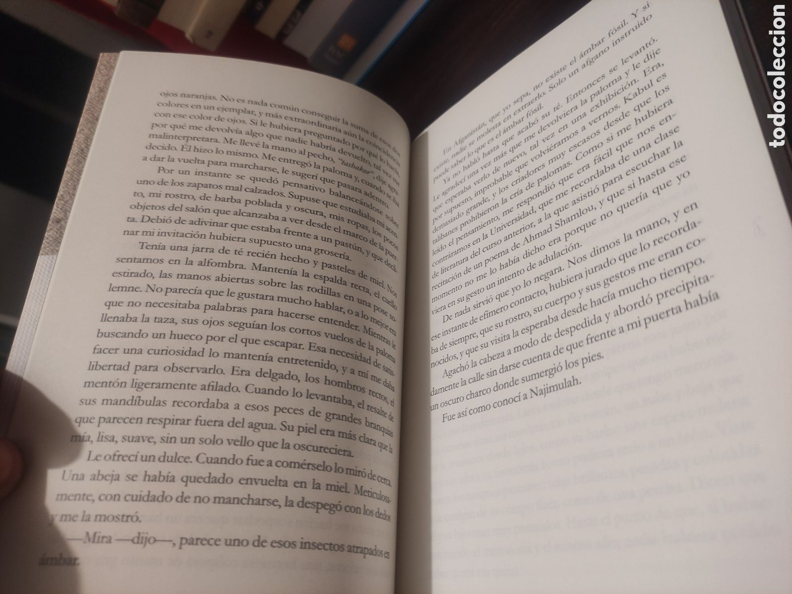 Libros de segunda mano: Luis Salvago - Los lugares verdes - Foto 11
