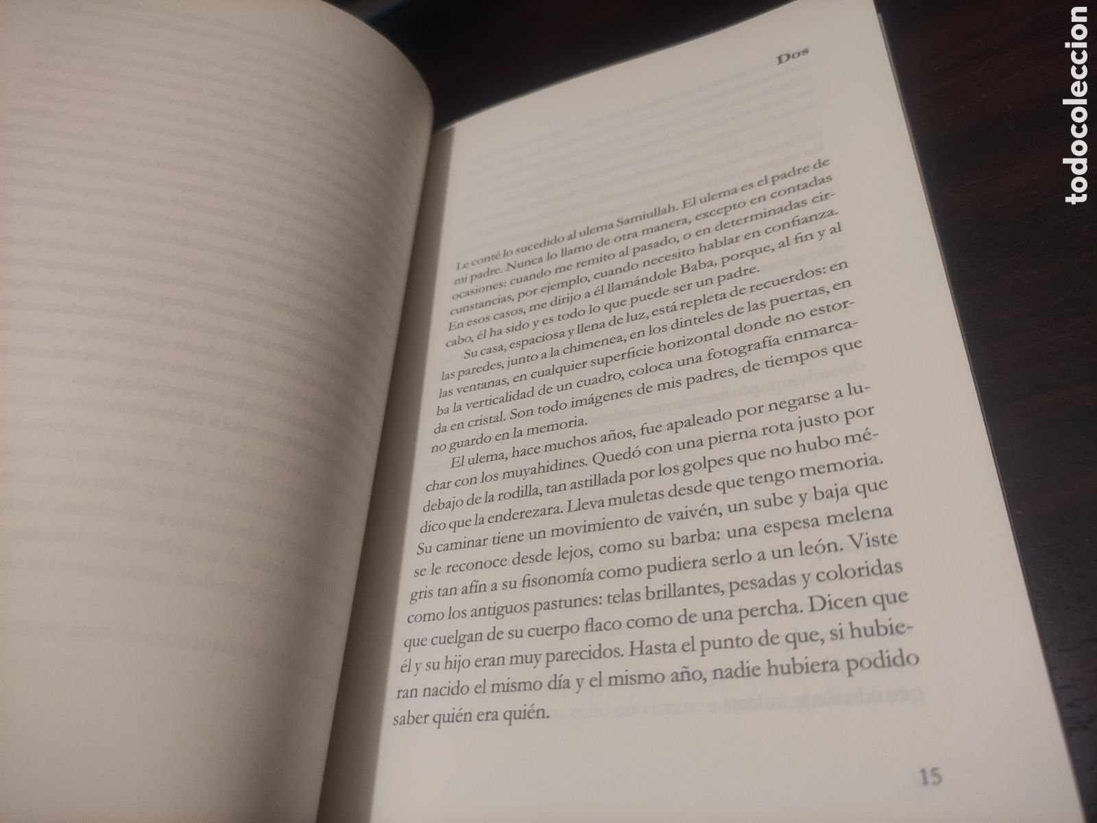 Libros de segunda mano: Luis Salvago - Los lugares verdes - Foto 12