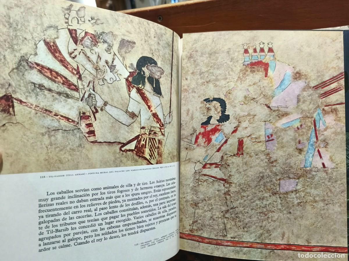 Libros de segunda mano: Asur &ndash; Andr&eacute; Parrot &ndash; Aguilar - Foto 6