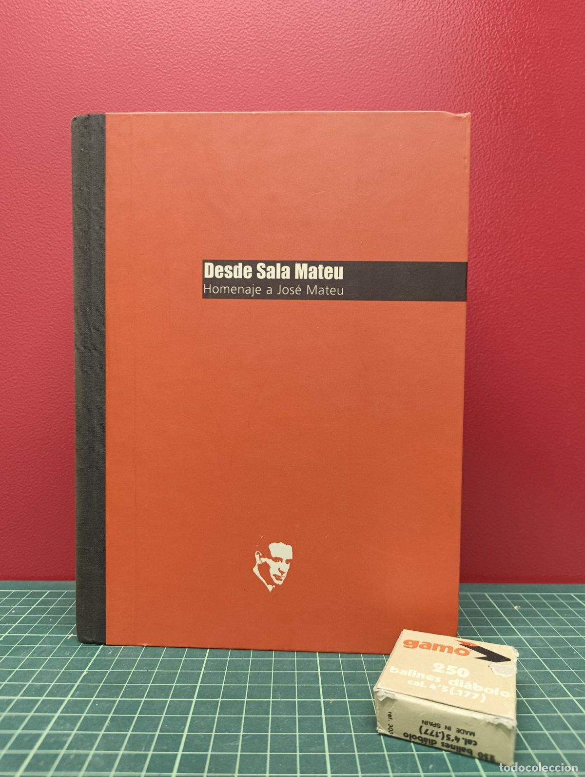 Gebrauchte B&uuml;cher: Desde Sala Mateu Homenaje a Jos&eacute; Mateu