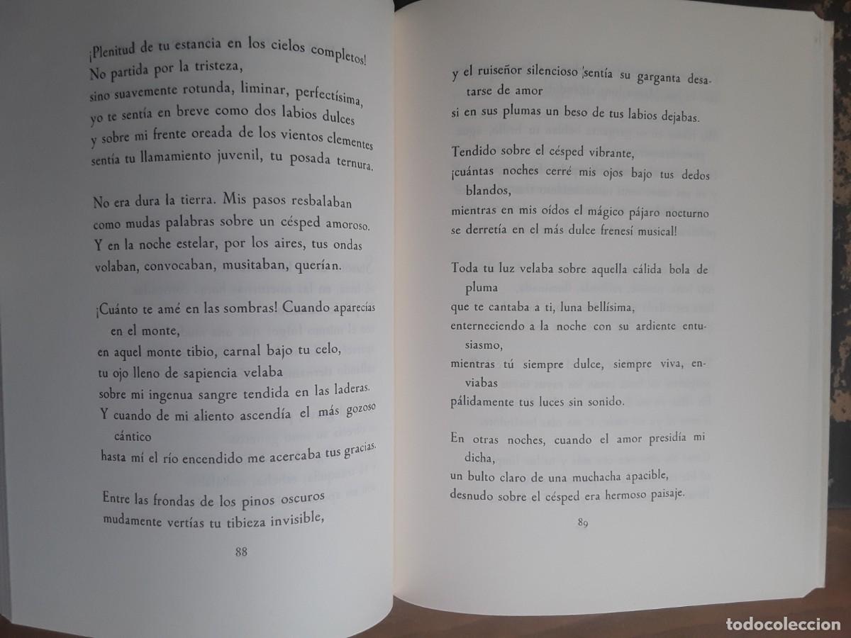 Libros de segunda mano: SOMBRA DEL PARA&Iacute;SO. VICENTE ALEIXANDRE. FACS&Iacute;MIL. PRIMERA EDICI&Oacute;N. - Foto 8