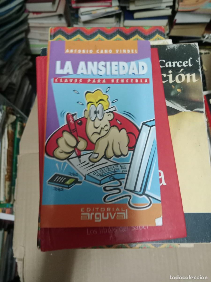 Livres d'occasion: La ansiedad, claves para vencerla, Antonio Cano Vindel LIBRO TOP-15