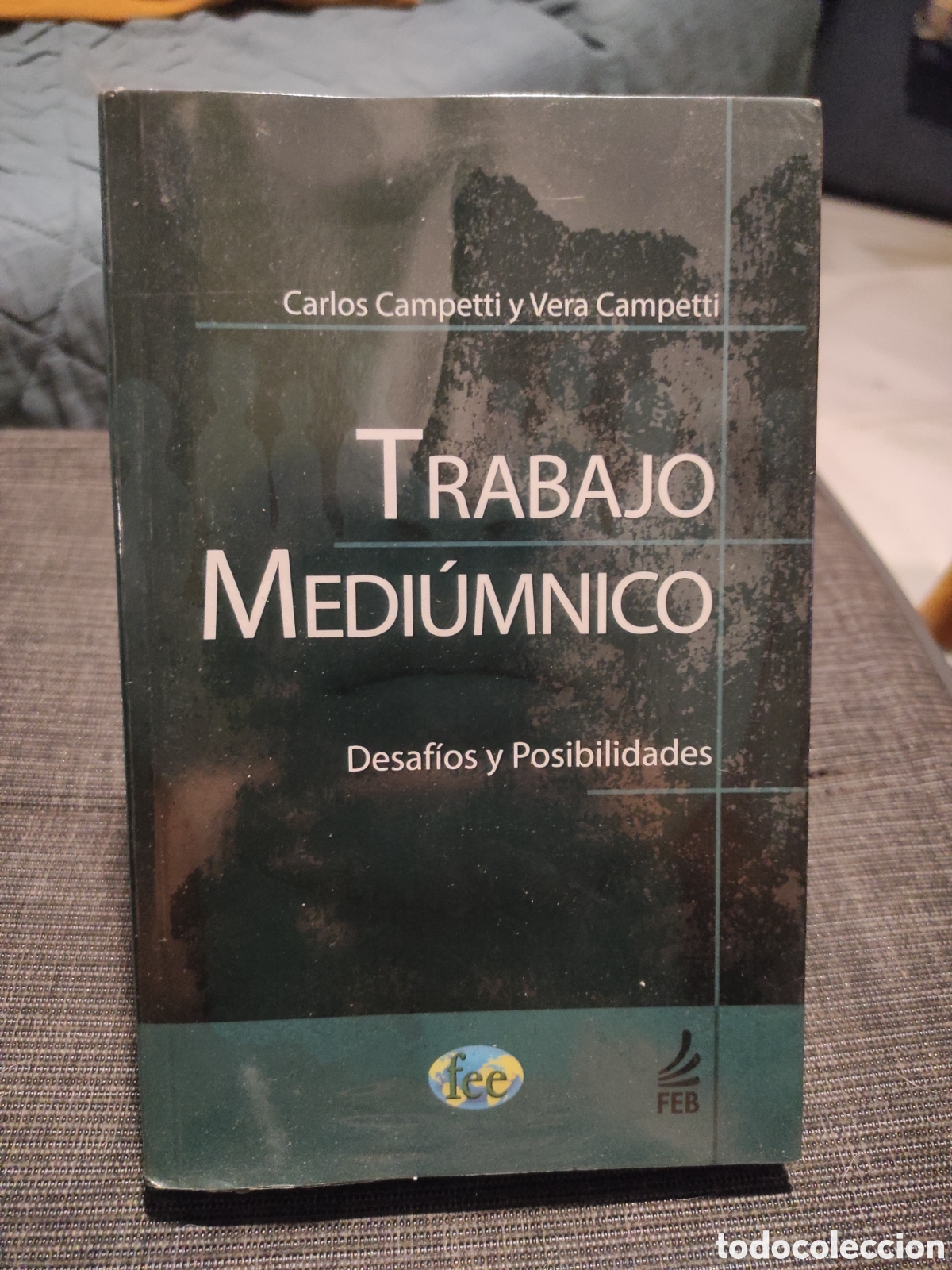 Libros de segunda mano: Trabajo Medi&uacute;mnico: Desaf&iacute;os y Posibilidades. Carlos Campetti y Vera Campetti.
