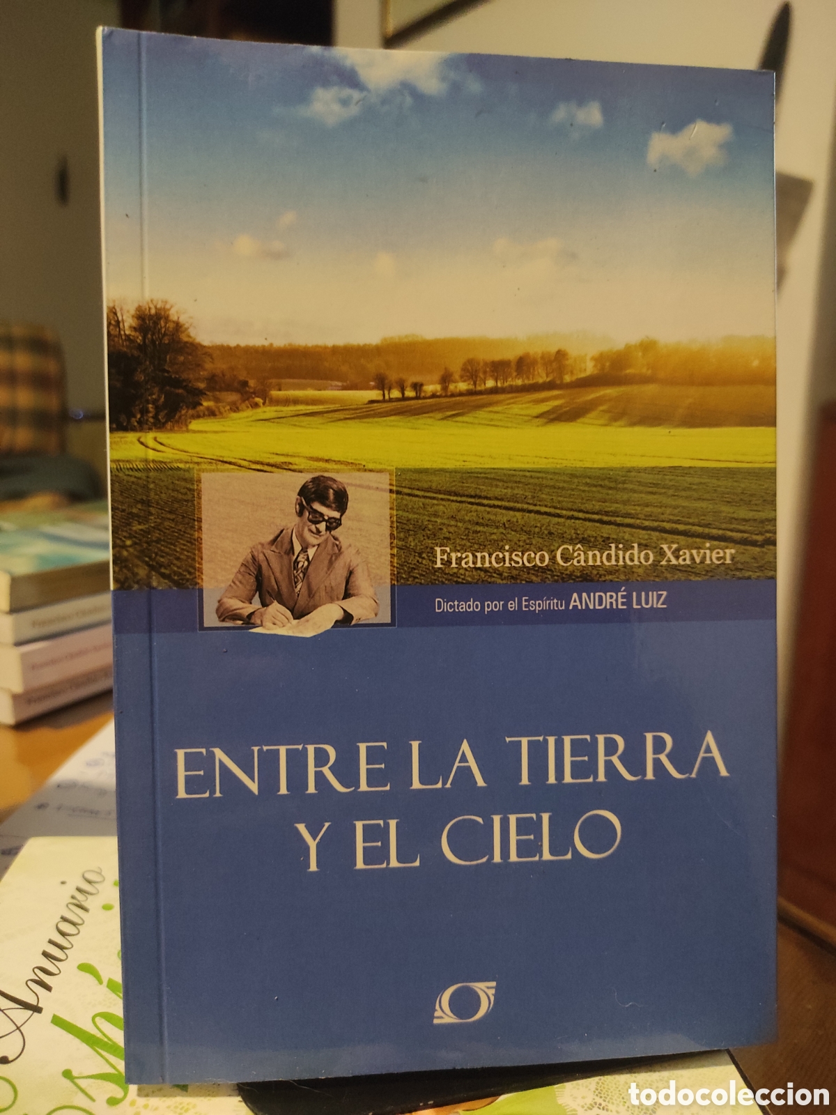 Libros de segunda mano: Entre la Tierra y el Cielo - de Francisco C&acirc;ndido Xavier y Andr&eacute; Luiz