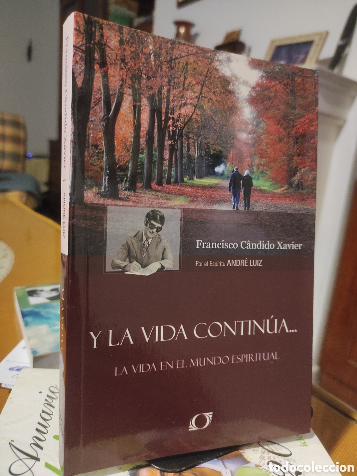 Libros de segunda mano: Y LA VIDA CONTINUA. LA VIDA EN EL MUNDO ESPIRITUAL / FRANCISCO CANDIDO XAVIER