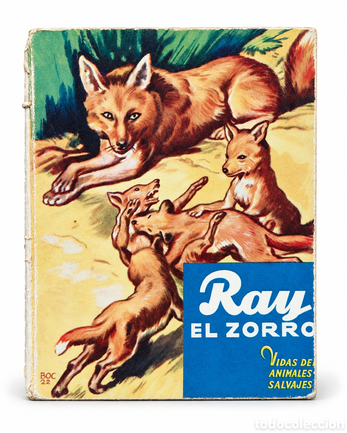 Libri di seconda mano: C. Bernard Rutley &mdash; Ray, el zorro &mdash; LML