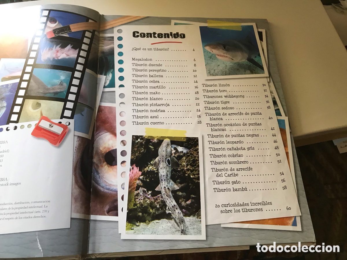 Libros de segunda mano: Tiburones ins&oacute;litos. Lipsa - Foto 3