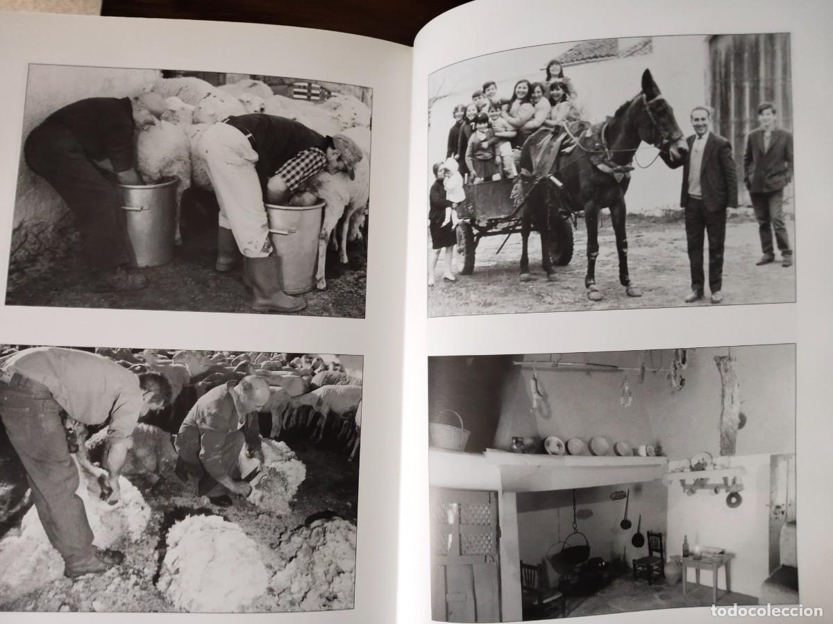 Libros de segunda mano: Casar de C&aacute;ceres. Cicl&oacute;n Ediciones. - Foto 13