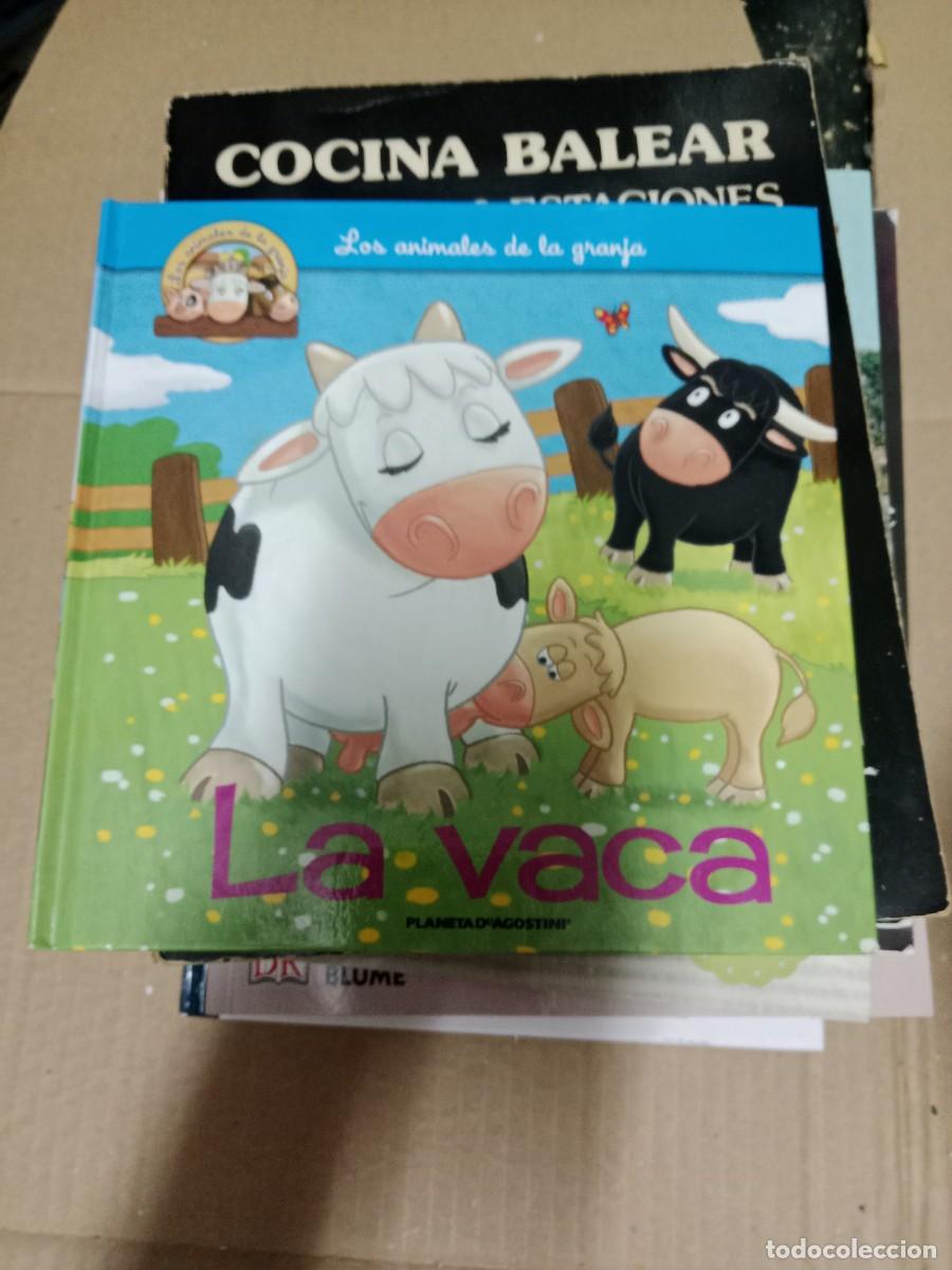 Libros de segunda mano: LOS ANIMALES DE LA GRANJA LA VACA LIBRO M-6