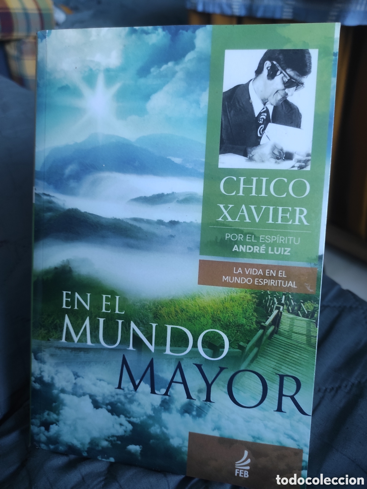 Libros de segunda mano: EN EL MUNDO MAYOR - Francisco Candido Chico Xavier
