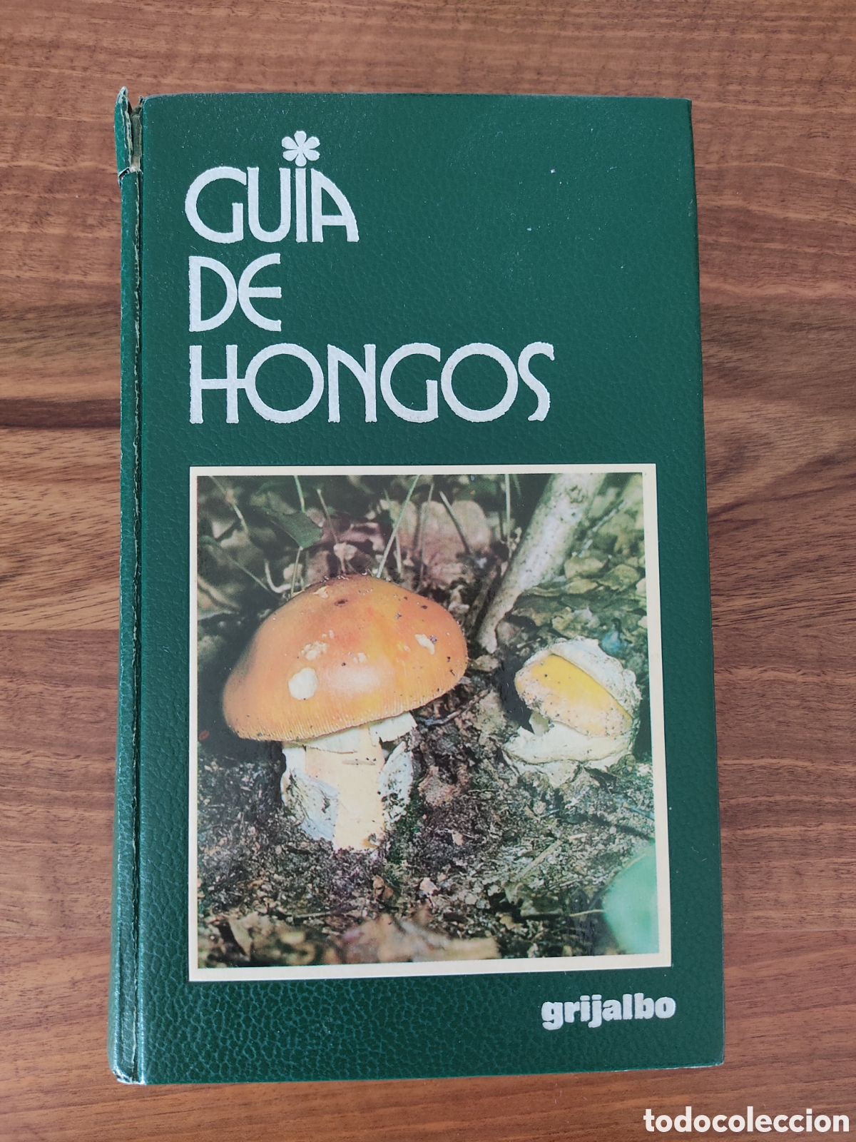 Livres d'occasion: GUIA DE HONGOS - GRIJALBO